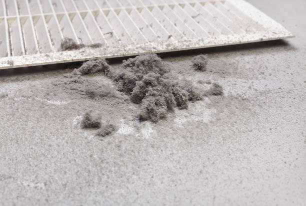Best HVAC Duct Inspection Services  in Malone, FL